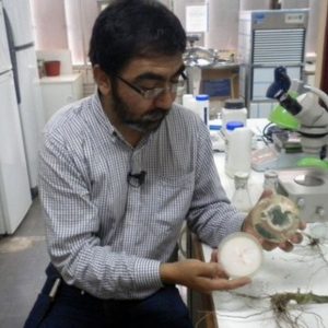 Germán Sepúlveda Chavera